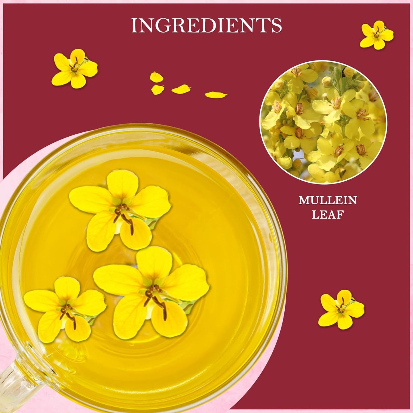 Mullein Leaf Pure Herbal Tea (50 Tea Bags)