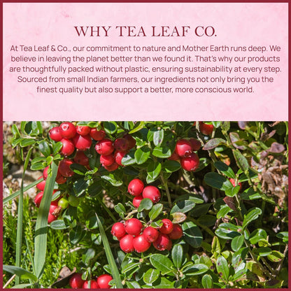 Cranberry Orange Black Tea (50 Tea Bags)