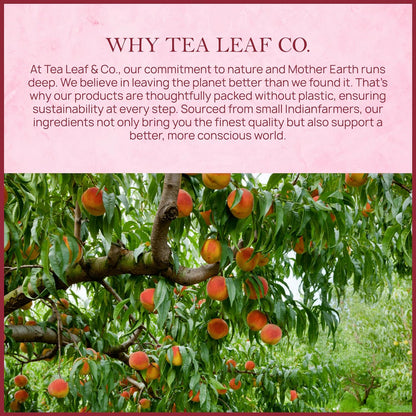 Peach Black Tea (50 Tea Bags)