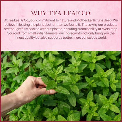 Orange Ginger Mint Herbal Tea (50 Tea Bags)