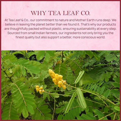 Senna Pure Herbal Tea (50 Tea Bags)