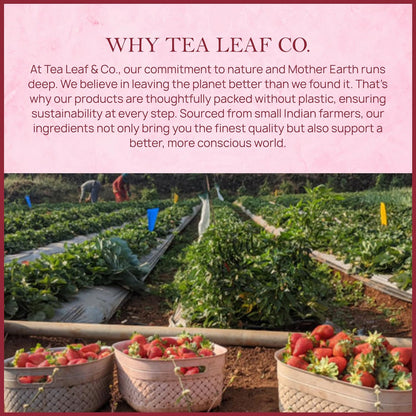 Strawberry Hibiscus Herbal Tea (50 Tea Bags)